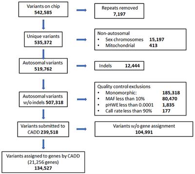 Genetic Influences on Behavioral Outcomes After Childhood TBI: A Novel Systems Biology-Informed Approach